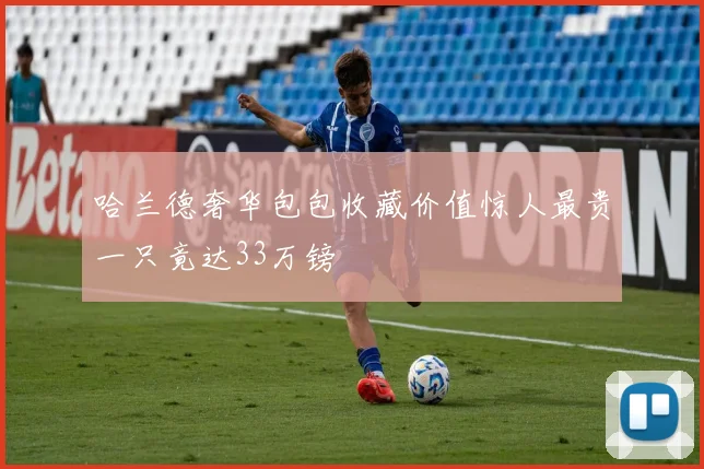 哈兰德奢华包包收藏价值惊人最贵一只竟达33万镑