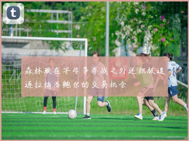 森林狼在字母争夺战之外还积极追逐拉梅洛鲍尔的交易机会